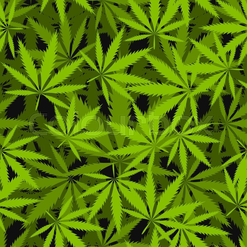 800x800 Marijuana Leaves Seamless Vector Pattern. Cannabis Plant Green