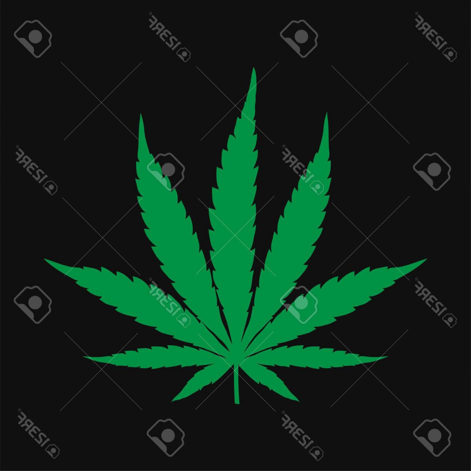 1560x1560 Photostock Vector Vector Cannabis Leaf Illustration Green Plant