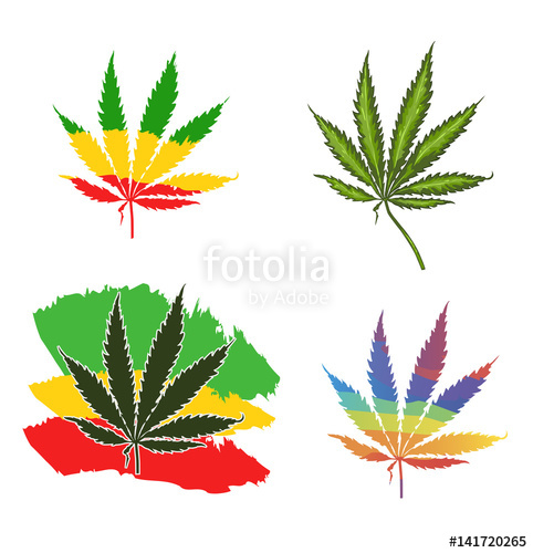 482x500 Set Realistic Marijuana Leaf. Cannabis Plant Stock Image And