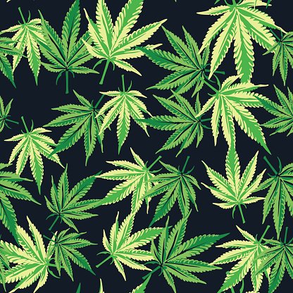 416x416 Cannabis Marijuana Seamless Vector Plant Premium Clipart