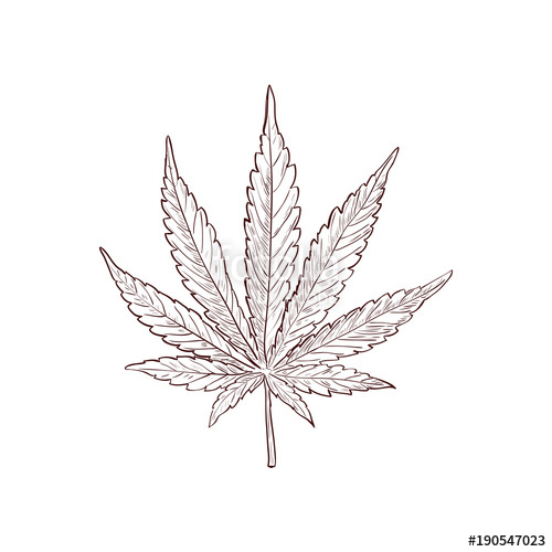 500x500 Marijuana Or Cannabis Vector Stock Image And Royalty Free Vector