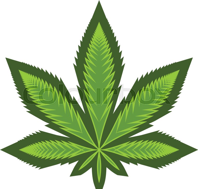 800x767 Stylized Green Marijuana Pot Weed Leaf Vector Logo Stock Vector