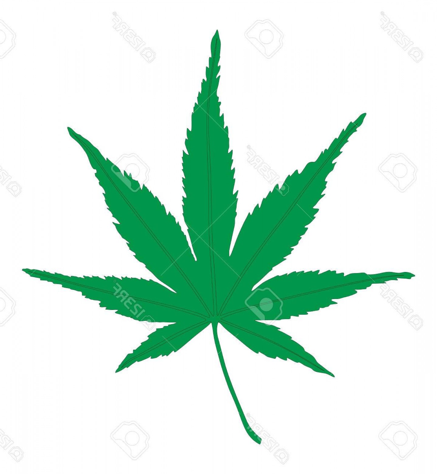 1438x1560 Vector Of Medical Marijuana Plant Lazttweet