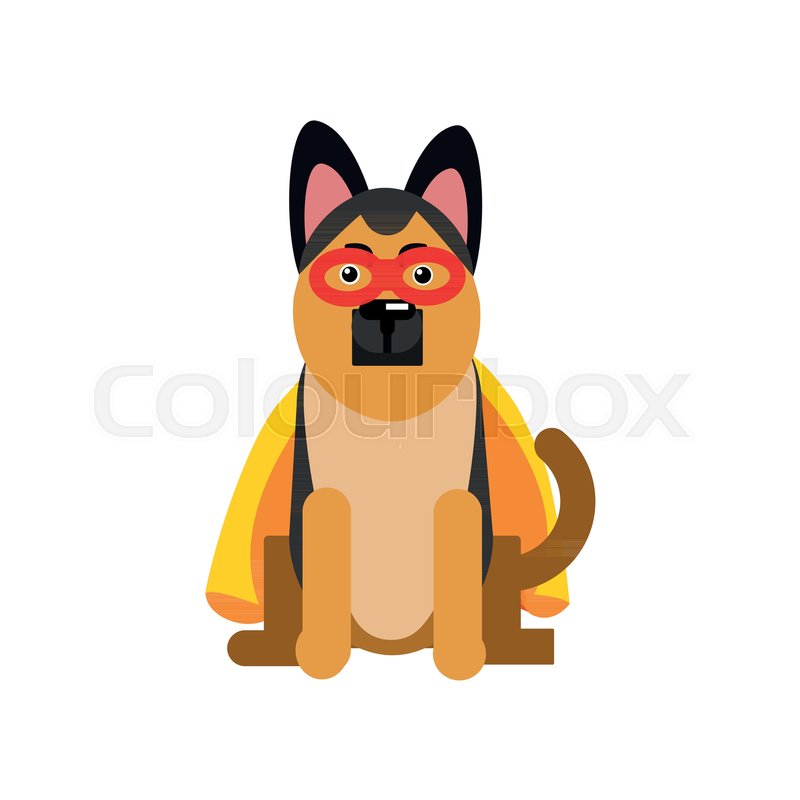 800x800 Superhero Dog, Sheepdog Wearing An Orange Cape Vector Illustration