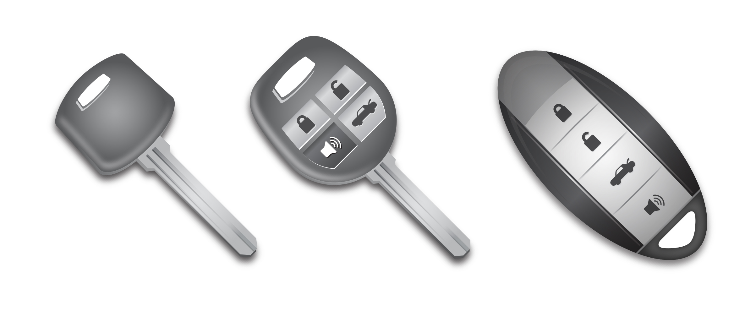 2406x1009 Key Vector 11 An Images Hub