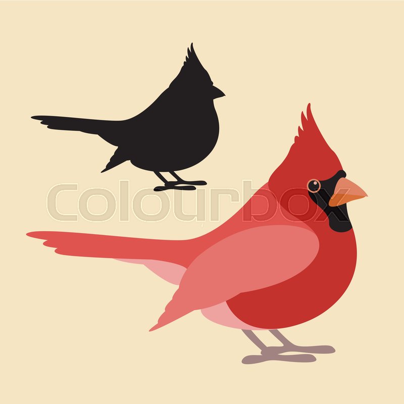 800x800 Bird Cardinal Vector Illustration Style Flat Side Silhouette