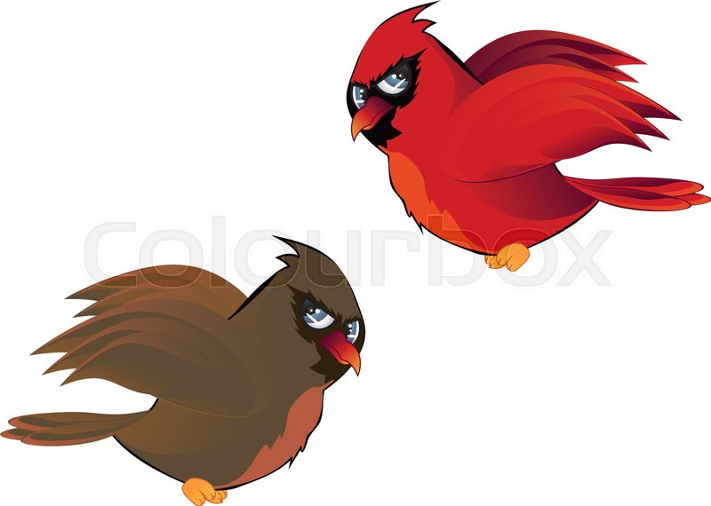 800x570 Cute Cartoon Male And Female Cardinal Birds. Stock Vector