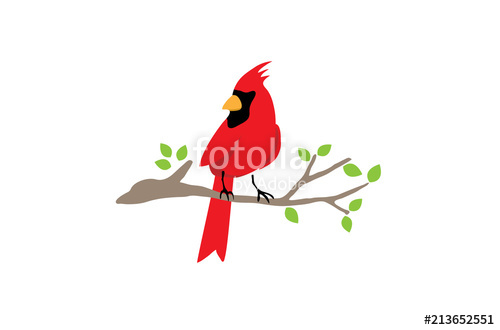 500x330 Cardinal Bird Logo Design Illustration Stock Image And Royalty