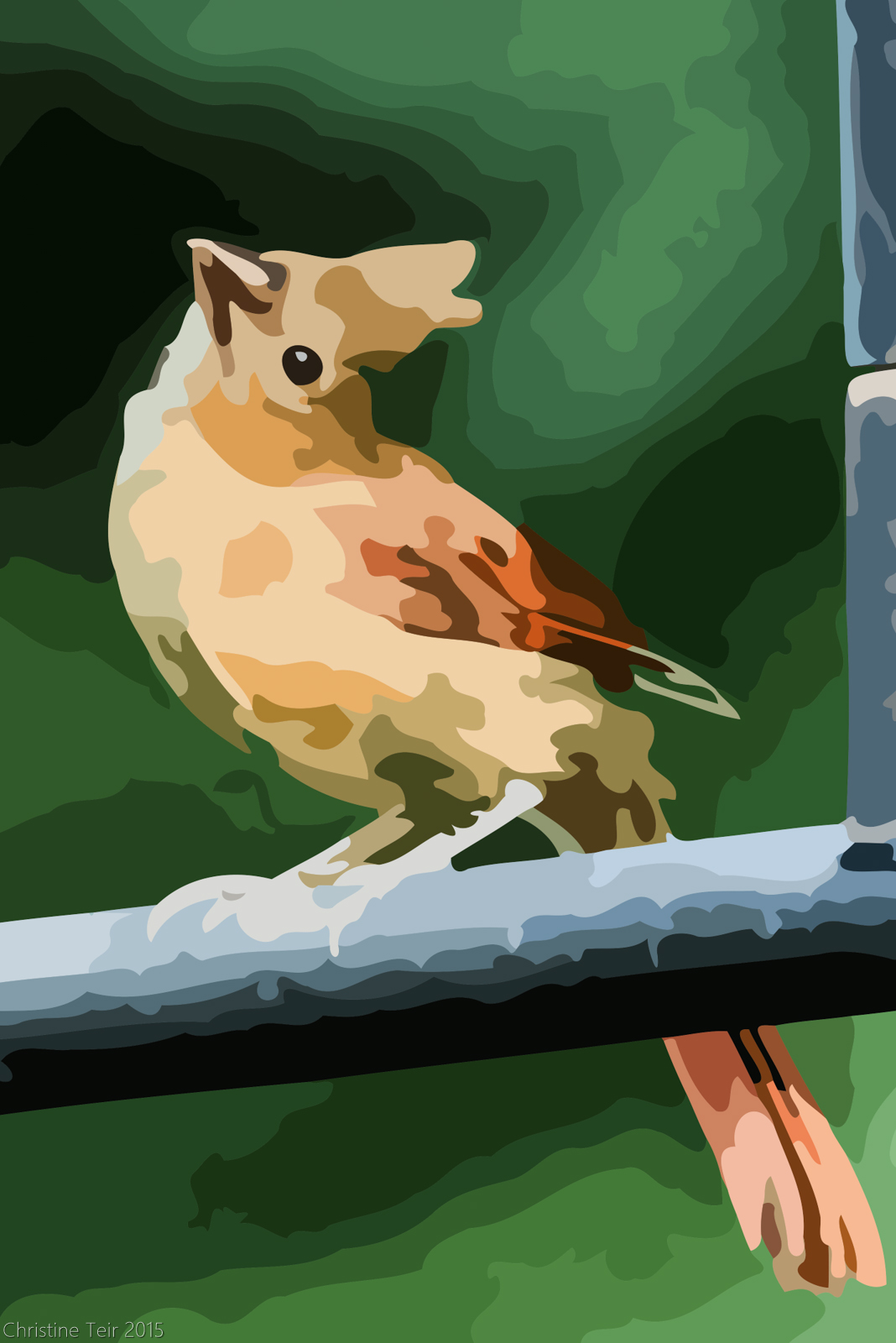 1068x1600 Juvenile Cardinal