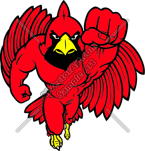 480x500 Cardinal Vector Art