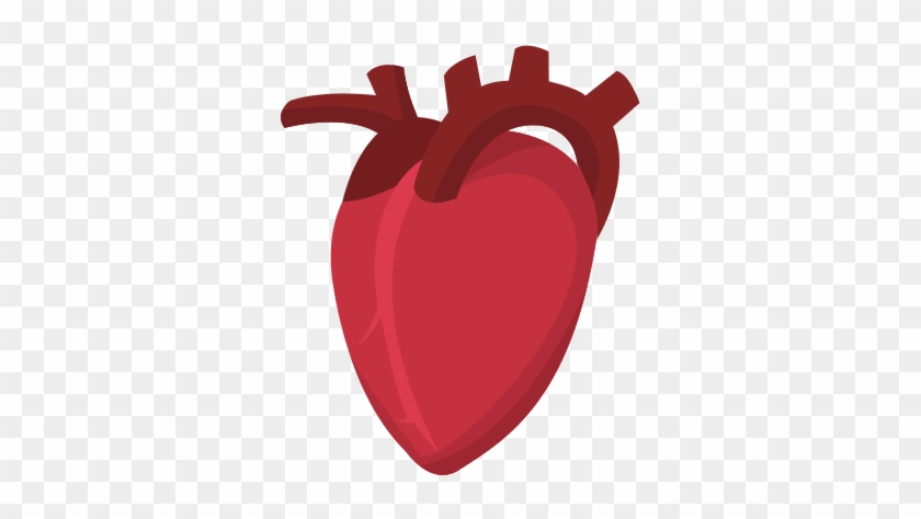 840x474 Human Heart Cardio Healthy Icon