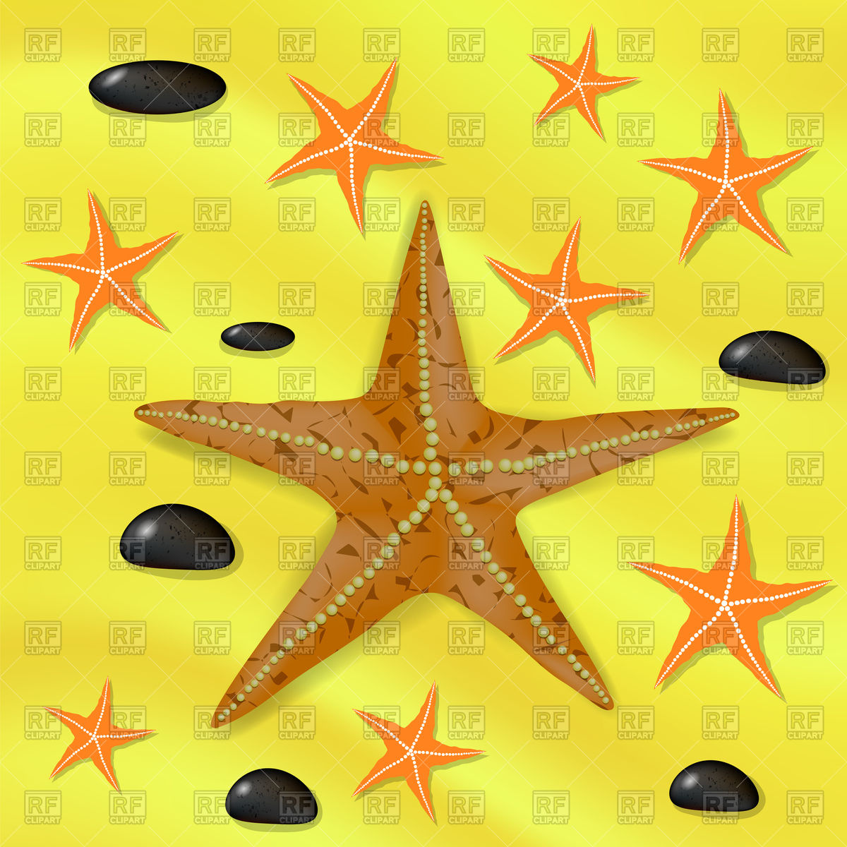 1200x1200 Caribbean Starfish On A Yellow Background Vector Image Vector