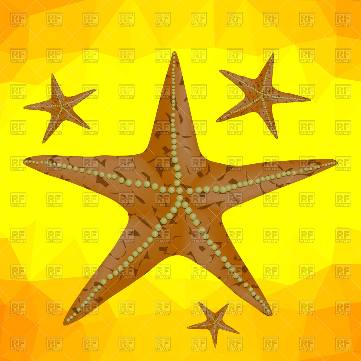 1200x1200 Caribbean Starfish On A Yellow Polygonal Background Vector Image