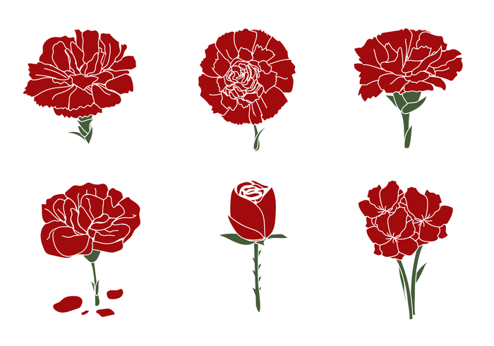 700x490 Carnation Vector