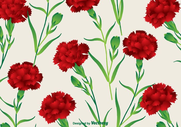 700x490 Carnation Vector Background Carnations Vector