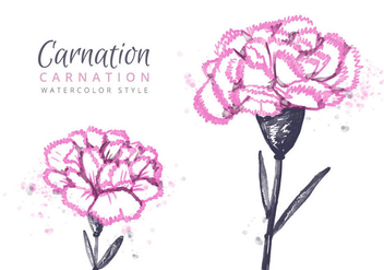 352x247 Free Watercolor Carnation Vector Pack Free Vector Download 352135