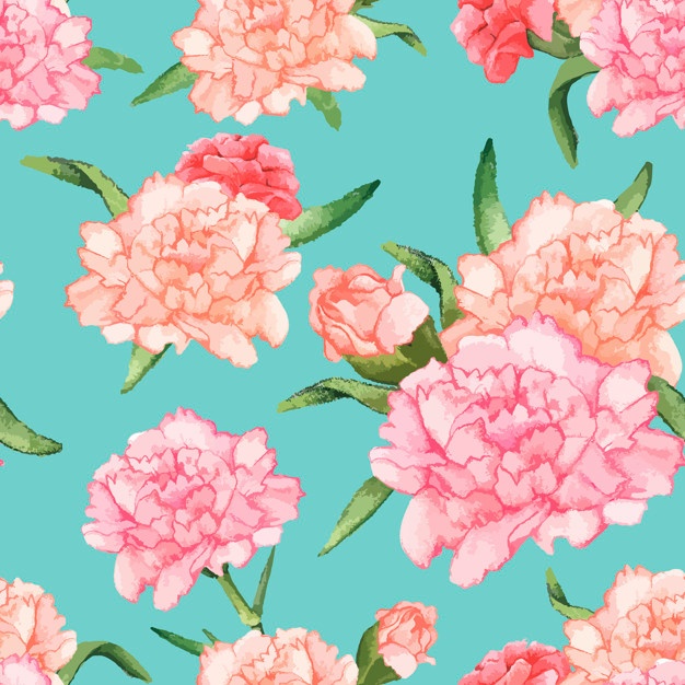 626x626 Carnation Flower Vectors, Photos And Psd Files Free Download