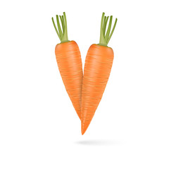 240x240 Search Photos Carrot Vector