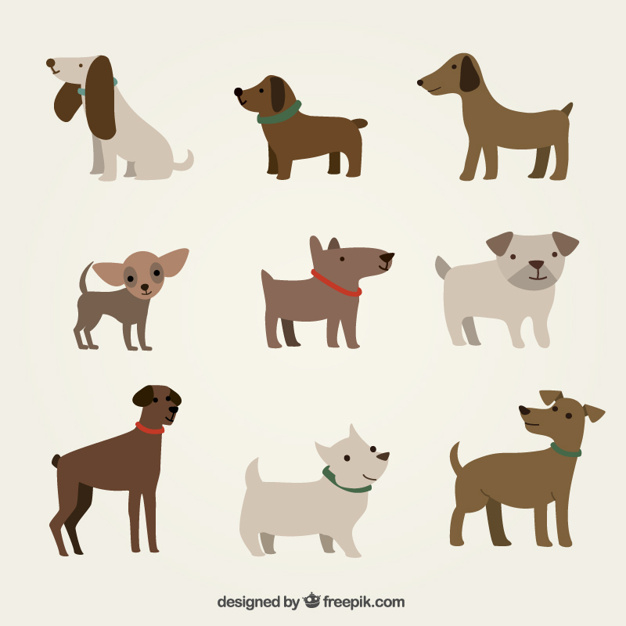 626x626 Cute Dogs Illustration Vector Free Download