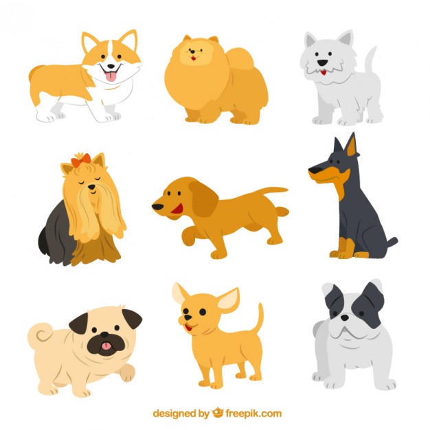 626x626 Dog Vectors, Photos And Psd Files Free Download