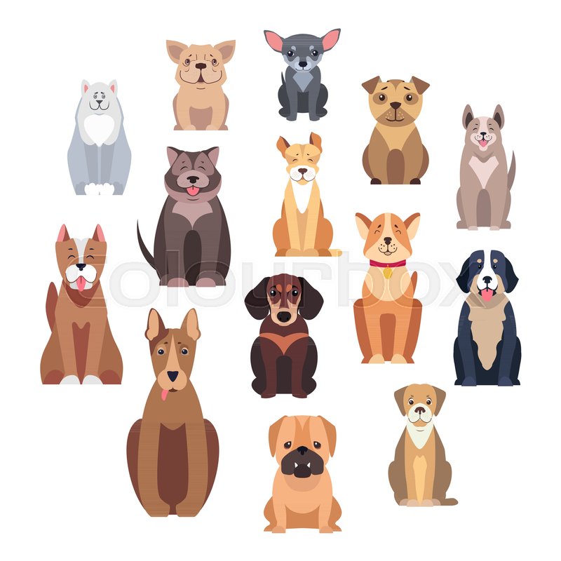 800x800 Cartoon Dog Breeds Isolated On White Background. Small And Big