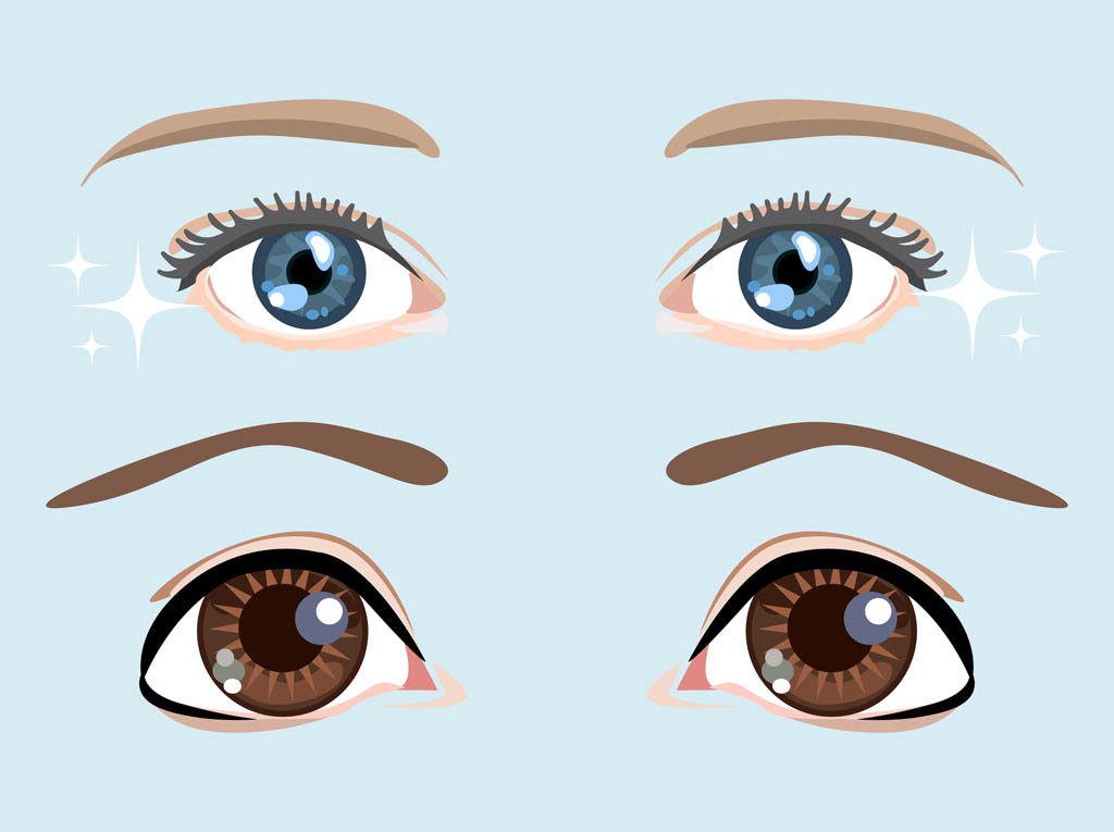 1024x765 Cartoon Eyes Vector Vector Art Amp Graphics