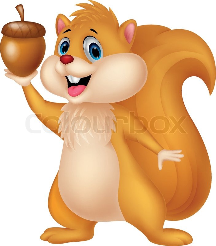 703x800 Squirrel Vector