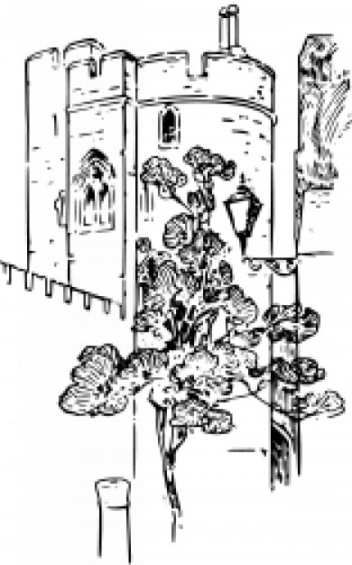 390x626 Castle Tower Vector Free Download