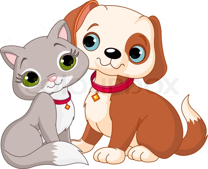 800x652 Dog And Cat Best Friends Ever Stock Vector Colourbox