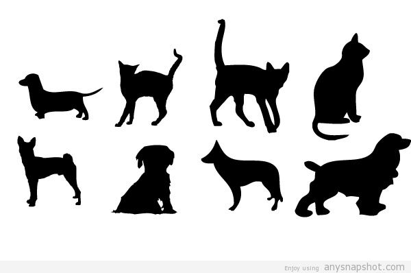 600x398 House Animals Vector Graphics Cats And Dogs