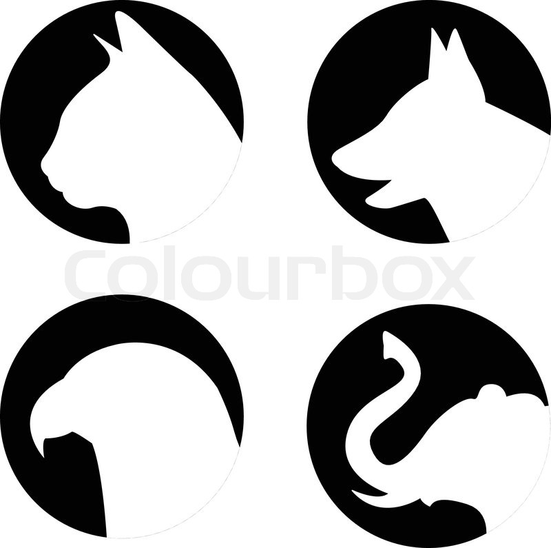 800x795 Cat, Dog, Eagle And Elephant In Vector Stock Vector Colourbox
