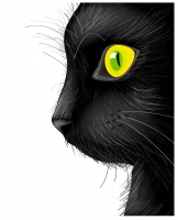 162x200 Cat Eye Free Vector Graphic Art Free Download (Found 2,329 Files