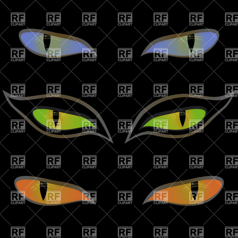 800x800 Cat Eyes On A Black Background