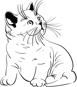 325x368 Cat Face Vector Free Vector Download (2,674 Free Vector) For