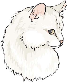 285x350 Free Cat Face Vector 5 Psd Files, Vectors Amp Graphics