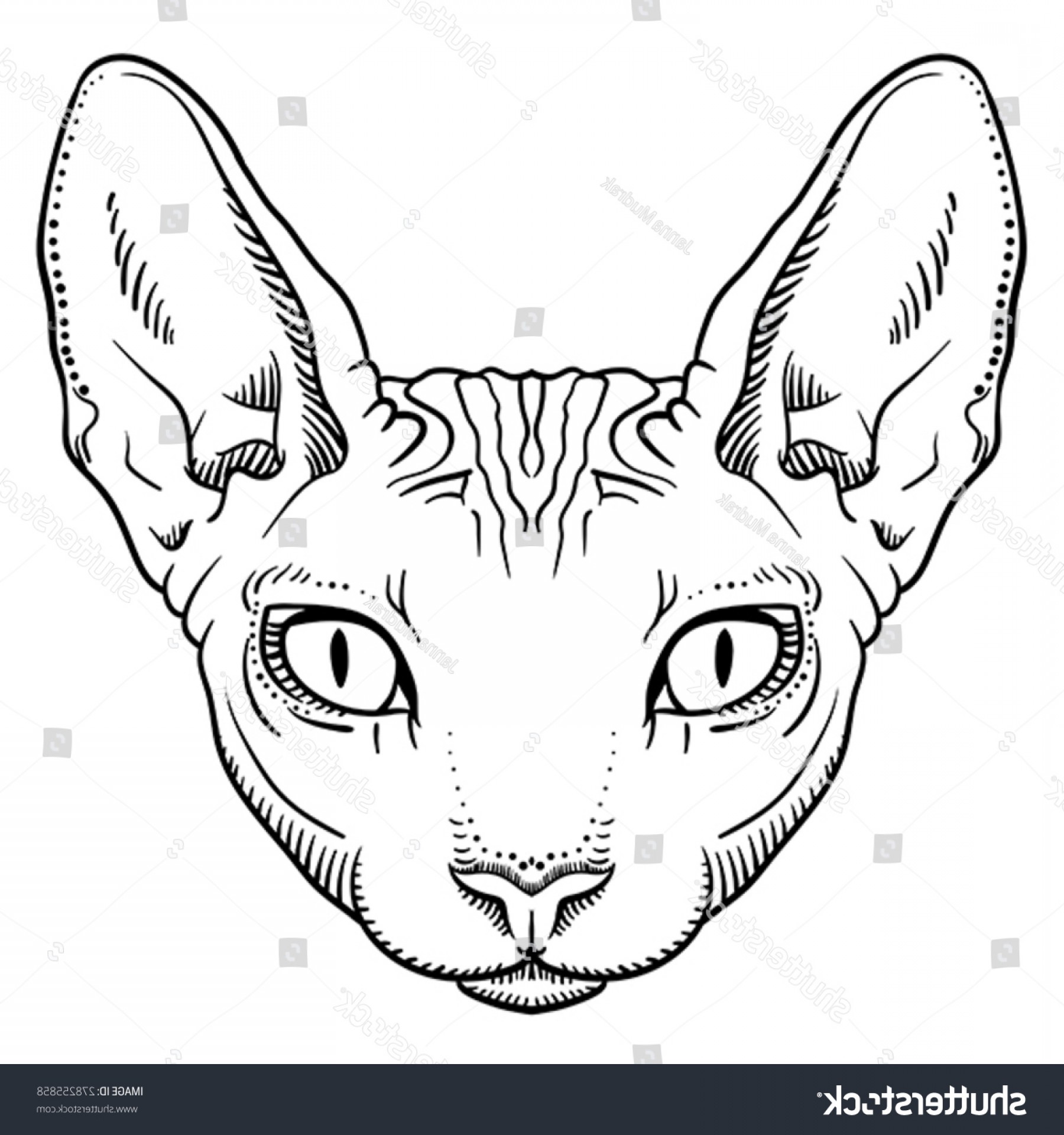 1800x1920 Just Arrived Outline Of Cat Face Vector Black Drawing With Paws