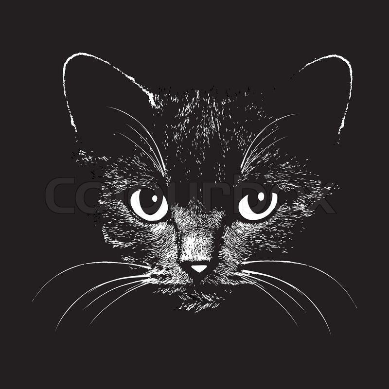 800x800 Cat Head Vector Animal Illustration For T Shirt. Sketch Tattoo