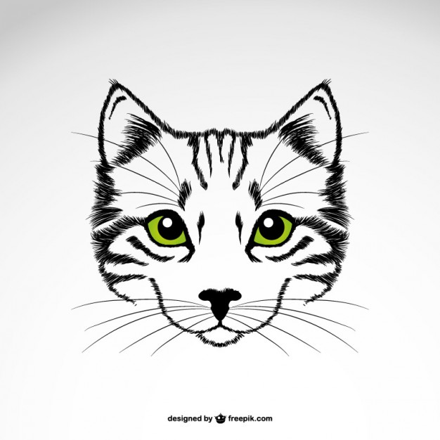 626x626 Cat Head With Green Eyes Vector Free Download