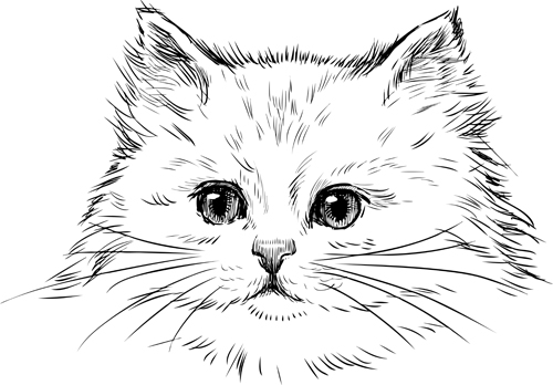 500x348 Hand Drawn Cats Head Vector Set 02 Free Download