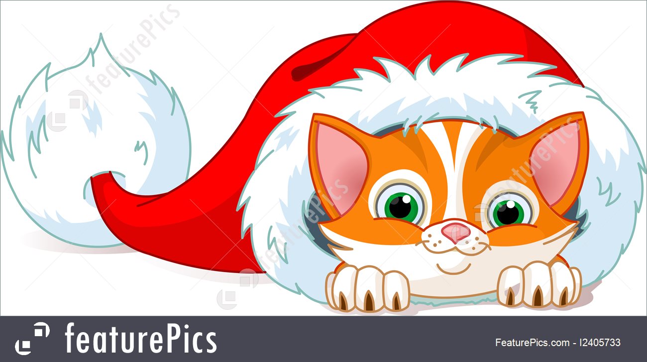 1300x728 Holidays Cat Hat