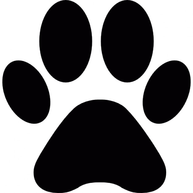626x626 Paw Vectors, Photos And Psd Files Free Download