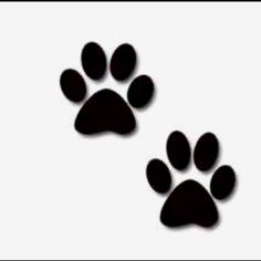 236x236 Cat Paw Print Cat Paw Prints Clip Art