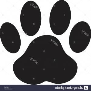 300x300 Dog Or Cat Paw Print Flat Icon For Animal Apps And Websites Paw
