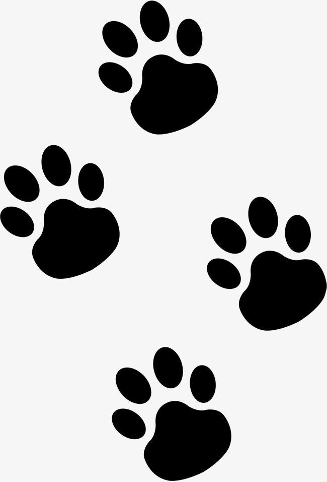 Cat Paw Vector at GetDrawings | Free download