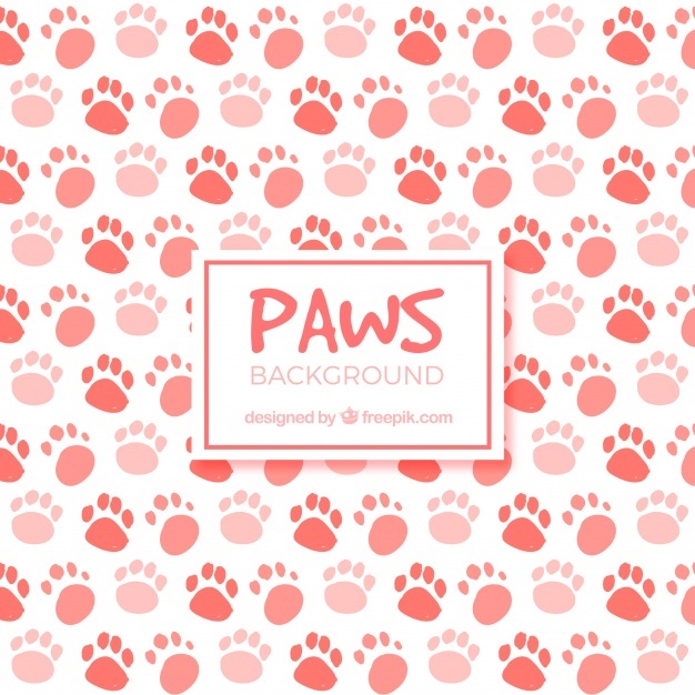 626x626 Paw Vectors, Photos And Psd Files Free Download