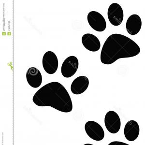 300x300 Royalty Free Stock Images Paw Prints Dog Cat Image Sohadacouri