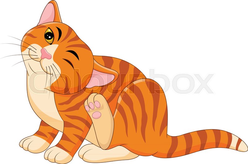 800x530 Vector Illustration Of Cartoon Itchy Cat Scratching Stock Vector