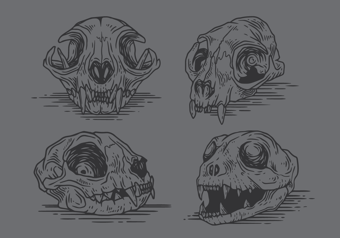 700x490 Cat Skull Vector