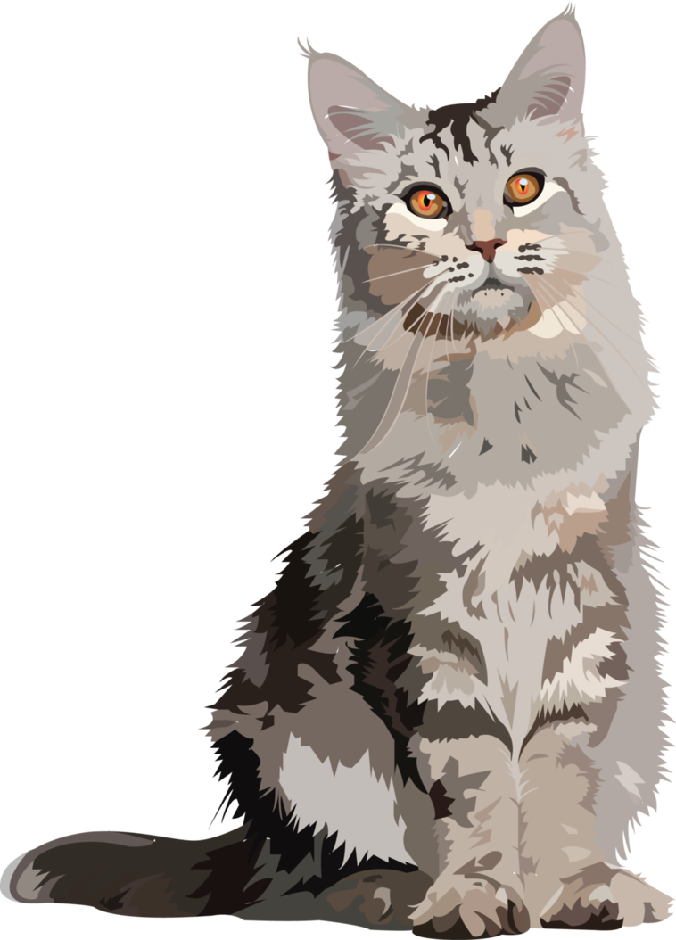 758x1054 Cat Vector By Petecowled