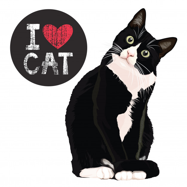 626x626 Cat Vectors, Photos And Psd Files Free Download